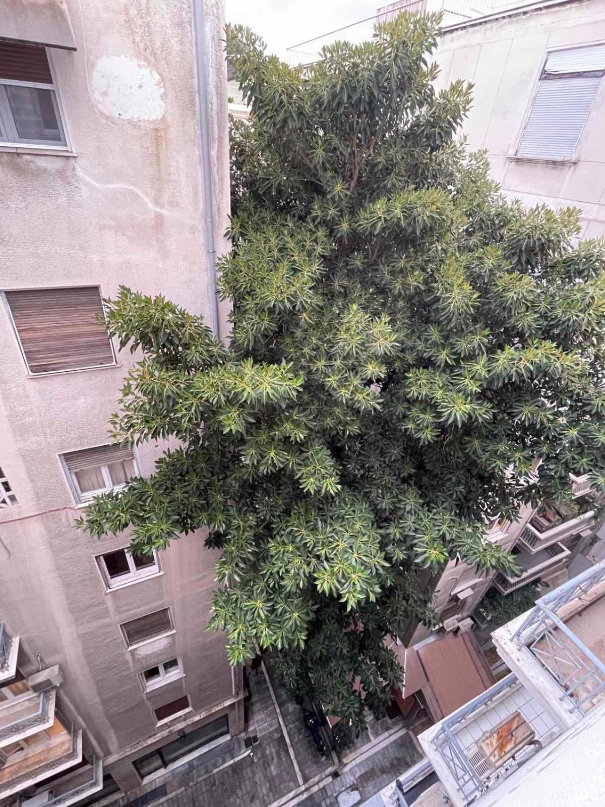 At Premium Syntagma Location - Experience 2 Apartmán *